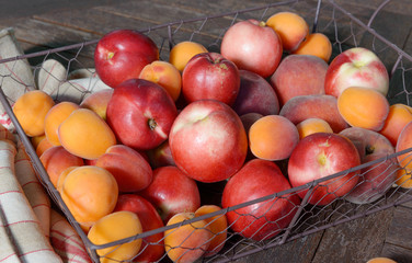 peaches and apricots