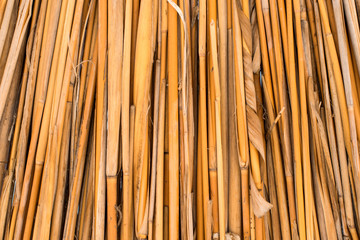 background of dried reeds