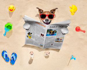 dog at the beach reads newspaper
