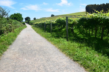 Naklejka premium Der Weg ist das Ziel
