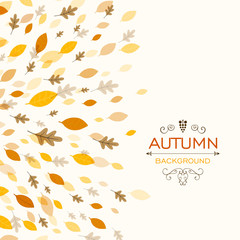 Vector Illustration of a Fall Background Design with Autumnal Leaves