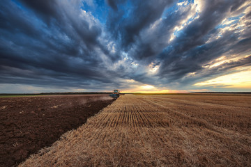 Farmer in tractor preparing land with cultivator