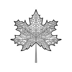 decorative maple leaf for your design