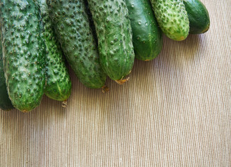fresh young green cucumbers from the garden
