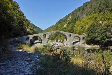 Fototapeta na wymiar Reflection of The Devil's Bridge in Arda river and Rhodopes mountain, Kardzhali Region, Bulgaria