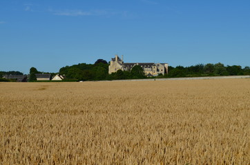 Paysage du Bessin (R&eacute;gion de Creully - Calvados)