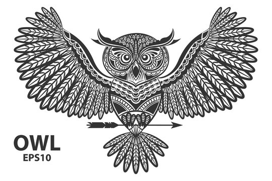 Vector illustration of owl. Ornamental owl. Ethnic illustration for coloring book, tattoo, poster, print, t-shirt.
