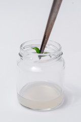 in vitro