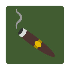 Cigar flat icon