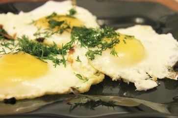 Fried eggs on the plate and dill over