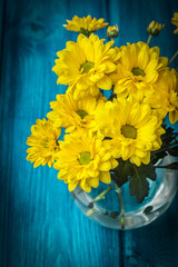 Yellow chrysanthemum flowers