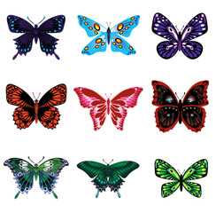 Nine different butterflies, isolated on white background