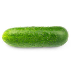 Fresh and ripe cucumber isolated on white background.