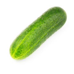 Fresh and ripe cucumber isolated on white background.