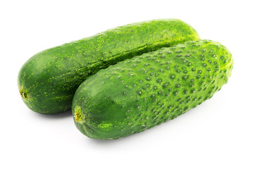 Fresh and ripe cucumbers isolated on white background.