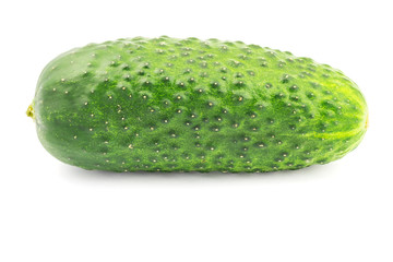Fresh and ripe cucumber isolated on white background.