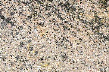 stone background texture