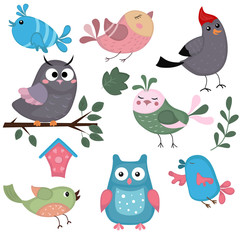 Cute vector birds