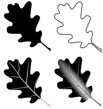 black oak leaf set on white clip art preview