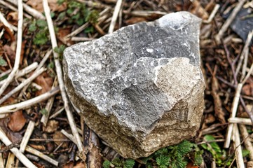 Closeup of Rock on Ground with shallow depth of field