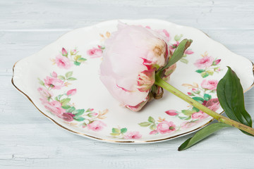 Peony Flower On Plate. Gray Crackled Background.