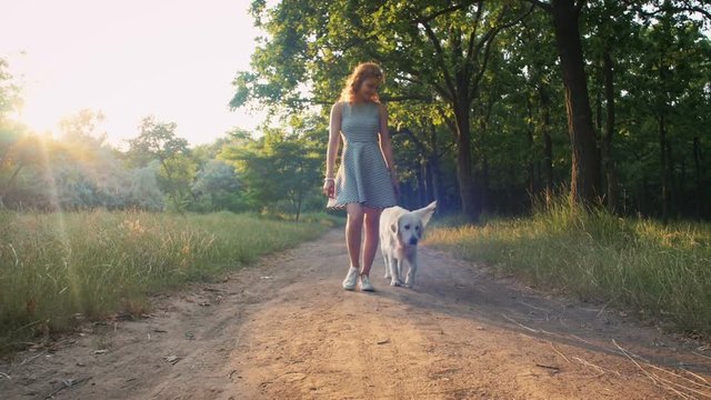 Young woman walking with retriever dog in park during sunset