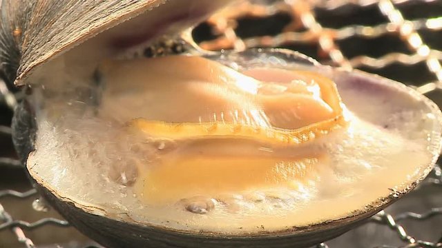 海鮮バーベキュー

