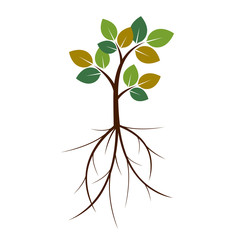 Color Tree and roots. Vector Illustration.