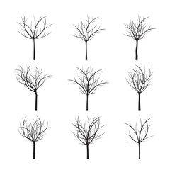 Obraz premium Set of Black Trees. Vector Illustration.