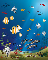 Plakat Leaflet width tropical fishes bottom of the ocean