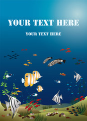 Leaflet width tropical fishes bottom of the ocean