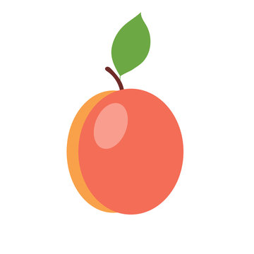Peach. Vector illustrations.