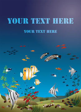 Leaflet width tropical fishes bottom of the ocean