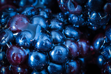 Macro shot of fresh blackberries