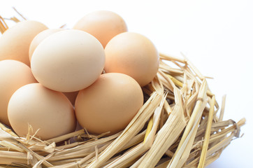 Hen eggs in straw nest on white background