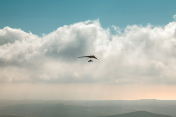 Hang glider