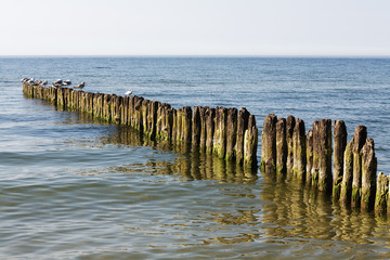 Old wooden breakwater in Baltic Sea