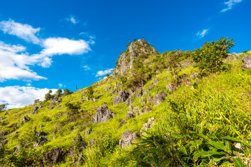 Fototapeta na wymiar Green scene sub alpine mountain blue sky