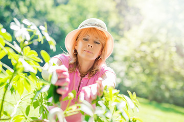 Mature woman gardening in her backyard