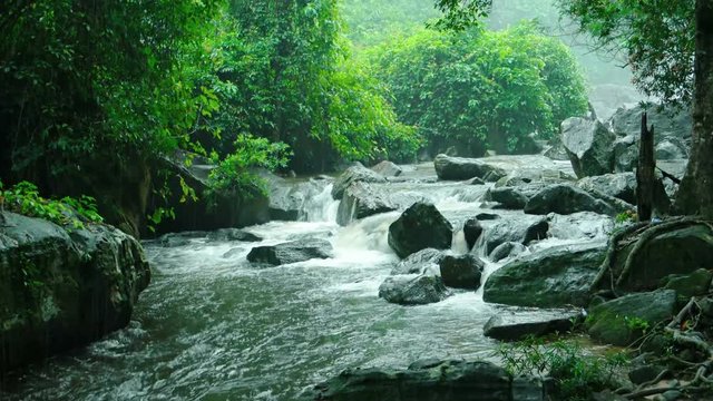 Phnom Koulen National Park - near Phnom Koulen Waterfall during a tropical rain. Video UltraHD 4k