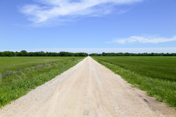 Farm Road between Fields