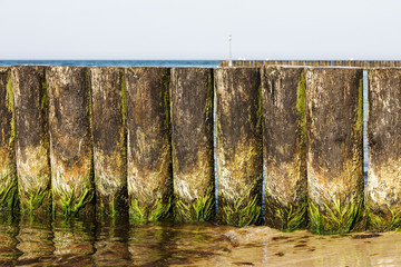 Wooden breakwaters at the edge of a beach
