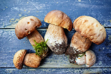 Boletus edulis (king bolete) on a wooden table