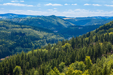 Mountains scenery. Panorama of grassland and forest
