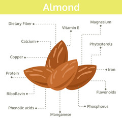 almond nutrient of facts and health benefits, info graphic nut