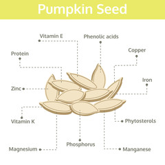 pumpkin seed nutrient of facts and health benefits, info graphic