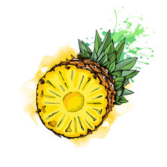 Half Pineapple in color. Vector illustration.