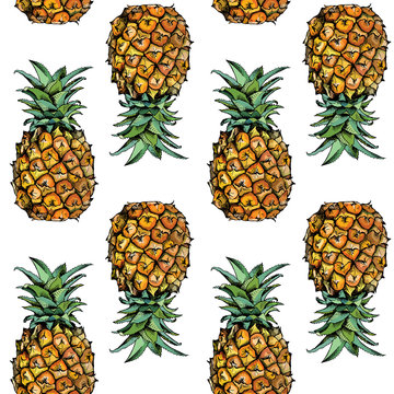 Seamless pattern with image of a Pineapple fruit in color. Vector illustration.