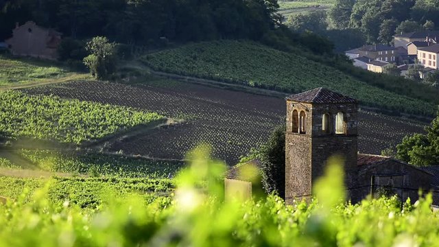 Landscape and old church in Beaujolais land after sunrise, Burgundy