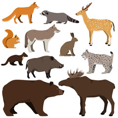 Vector set of cartoon forest animals. Brown bear, raccoon, squirrel, spotted deer, lynx, marten, wild boar, elk, wolf, fox, hare.